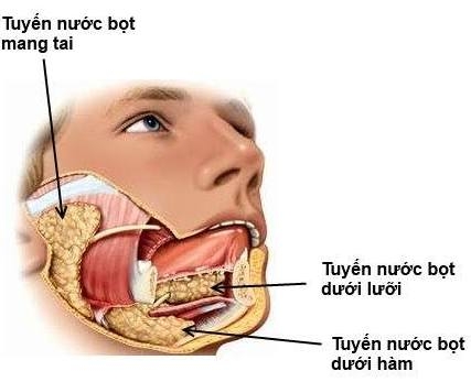 Giúp bạn Ung thư tuyến nước bọt