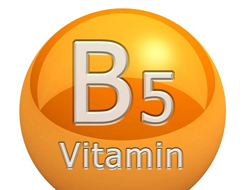 Giúp bạn Vai trò của vitamin B5 với bệnh viêm da cơ địa