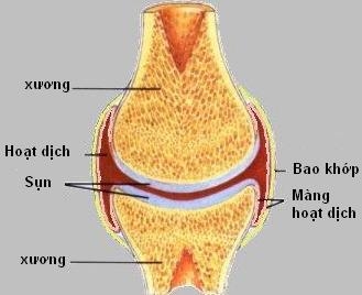 Giúp bạn Viêm bao hoạt dịch