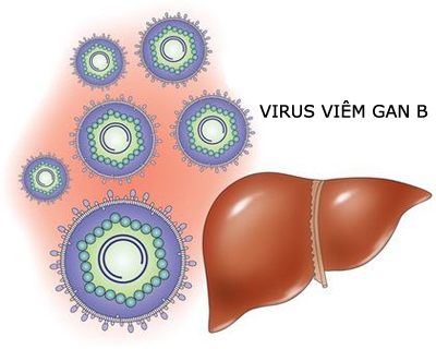 Giúp bạn Viêm gan siêu vi B lây qua đường nào?